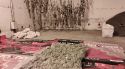 Vuit detinguts per dues plantacions de marihuana localitzades a Vidreres i Riudarenes