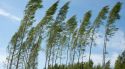 Activada l'alerta per ratxes de vent de més de 108 km/h a l'Alt Empordà