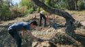 Cassà de la Selva reprèn les excavacions al jaciment iber de Puig Castellar