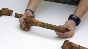 Les restes trobades pertanyen a les extremitats inferiors d'una dona © ACN