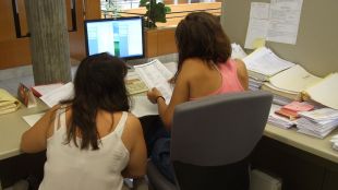 cadastre, l'escala, treballadors