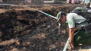 bosc, incendi, vilopriu, zona zero