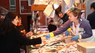 peix, Girona, peixateria, arrossegament, veda