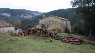 Desenes de troncs de pins i alzines talats a la finca de Misaclòs © ACN