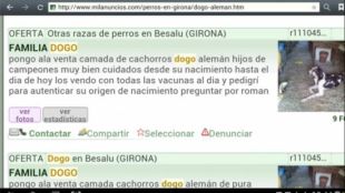 Anunci amb els quals venia els gossos de raça a través d'Internet © ACN