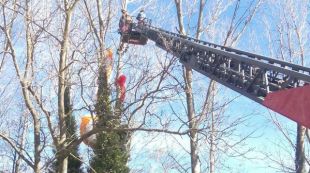 El parapentista penjat de dalt l'arbre durant el rescat © Bombers