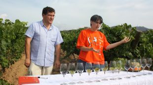 Xavier Cepero, Anna Espelt, celler, raïms