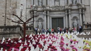 El muntatge a les escales de la Catedral de Girona durant el 'Temps de Flors' de l'any passat © ACN