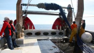 Els mariners tirant les xarxes davant l'atenta mirada de dos turistes © ACN