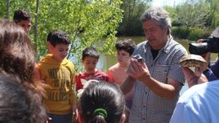 Un moment de l'alliberament d'exemplars de tortugues d'estany © ACN