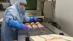 Una treballadora de la fàbrica d'Espuña d'Olot © ACN