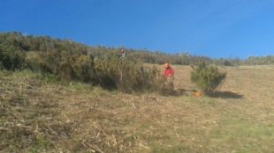 Actuació al puig Tifell