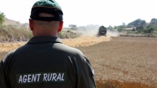 Un agent rural vigilant una màquina recol·lectora de cereal a Rauric © ACN