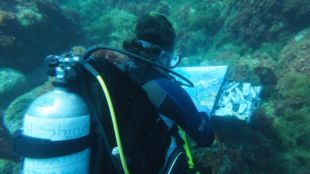 Alfons Cruz fa 23 anys que baixa sota el mar per pintar-hi © ACN