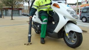moto, aspiradora, excrements, defecacions, animals