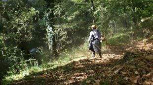 Un operari netejant la llera del Fluvià, aquest matí © Aj. d'Olot