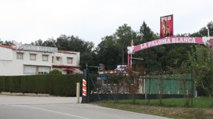 paloma blanca, prostíbul, detencions