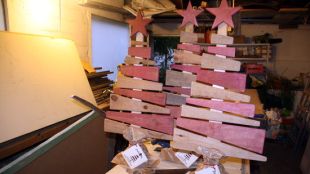 Els arbres recorden de manera subtil a l'estelada © ACN