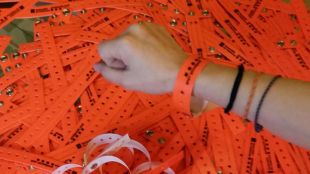Les polseres identificatives © ACN