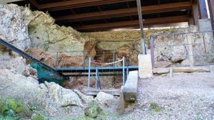 coves, serinyà