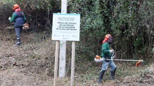 Dos operaris del COIET fent tasques de desbrossament © Martí Artalejo