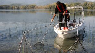 peixos, invasors, estany, banyoles