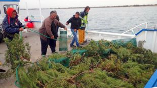 Els pescadors preparant les branques