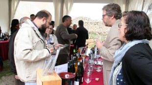 Centenars de persones s'han apropat a la fira Arrels del Vi de Sant Martí d'Empúries aquest matí © ACN