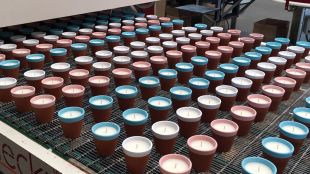 La nova espelma amb insecticida durant el procés de fabricació a l'empresa Ceres Roura © ACN