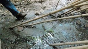 L'aigua residual que han detectat al costat de l'escorxador municipal de Palafrugell © ERC