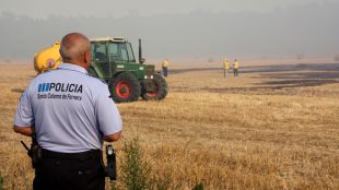 Un policia local de Santa Coloma de Farners, pendent d'un camp parcialment afectat © ACN