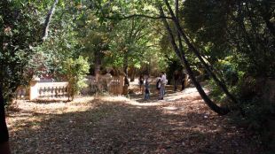 Part dels jardins que ha adquirit l'Ajuntament © ACN