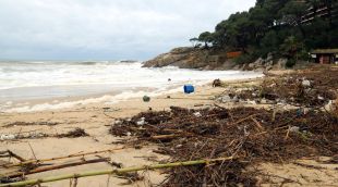 Estat de la platja de Torre Valentina a Sant Antoni de Calonge