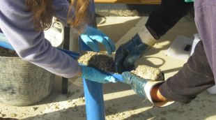 Dos tècnics estudiant la contaminació del sustrat en contacte amb l'aigua