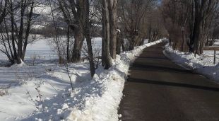 El Passeig dels Enamorats de Puigcerdà, completament nevat ahir