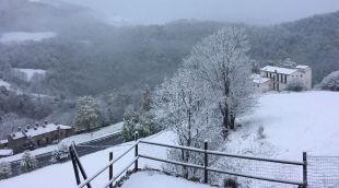 Molló presentava aquest aspecta nadalenc