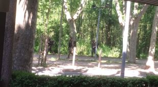 Militars de maniobres aquesta setmana a Banyoles (arxiu)
