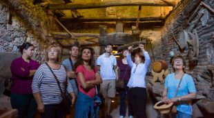 Visitants a l'interior d'una masia catalana en l'edició de l'any passat