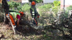 Dos operaris treballant a la franja de protecció contra incendis que s'està executant a la Jonquera