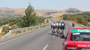 Un grup de ciclistes competint en una carretera