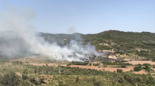Les flames han cremat uns camps de matolls