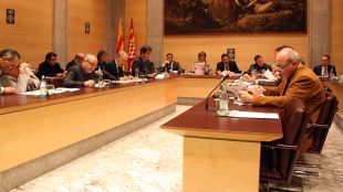 ple, diputació