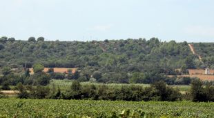 Entorn del Mas Tòfol on està previst la construcció del nou càmping