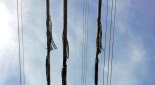 Els tres cables de la MAT a l'alçada de Cervià de Ter, desfilats després de rebre els impactes