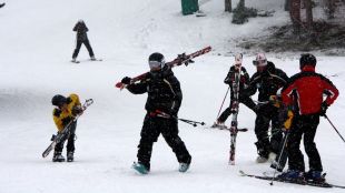 alp, pistes, esquí