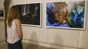 Una visitant mirant una fotografia de Michael Nichols aquest matí a Perpinyà