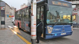 padares, autobús, bus, marquesina, temps, real