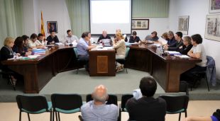 Un moment del ple