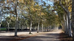 El parc de la Devesa de Girona, aquest matí
