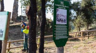 Un operari en una ruta de les Gavarres on s'han fet millores